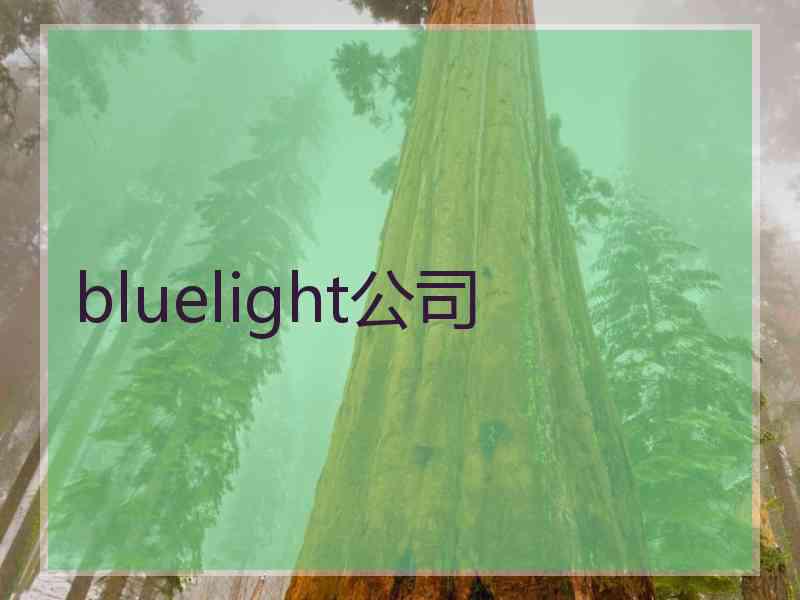 bluelight公司
